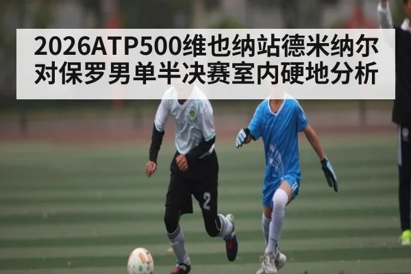 2026ATP500维也纳站德米纳尔对保罗男单半决赛室内硬地分析