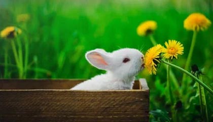 【法甲】迪马利亚2射1传 基恩破门 巴黎伤3将3比0胜